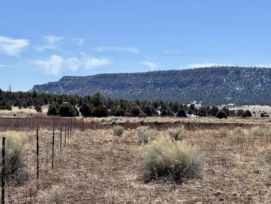 Ramah Reservoir Acreage For Sale in Ramah New Mexico