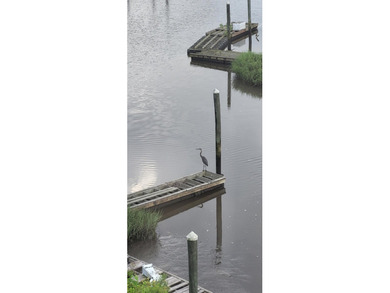 Turn-key 2BR/2BA end unit condo with stunning Intracoastal - photo 45