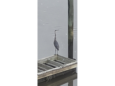 Turn-key 2BR/2BA end unit condo with stunning Intracoastal - photo 46