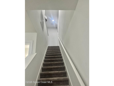 Shows like NEW very desirable 3 bedroom 2.5 bathroom spacious - photo 8