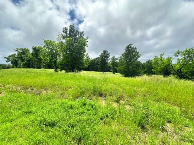 Pristine Waterfront 1+ Acre Lot in Gated Subdivision on RC Lake! - photo 19