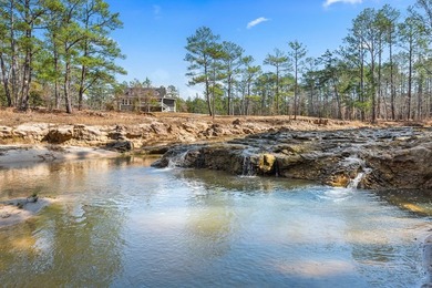 Located on 5+ gated acres along the shores of Lake Sam Rayburn - photo 33