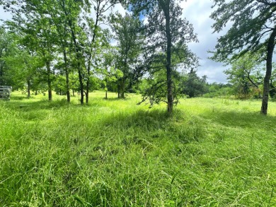 Pristine Waterfront 1+ Acre Lot in Gated Subdivision on RC Lake! - photo 15