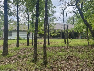 Lake Home For Sale in Magazine, Arkansas