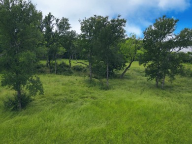 Pristine Waterfront 1+ Acre Lot in Gated Subdivision on RC Lake! - photo 33
