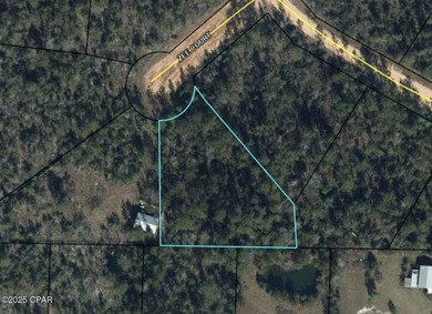 (private lake, pond, creek) Lot Sale Pending in Alford Florida