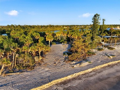 Welcome to a truly rare opportunity on the north end of Manasota - photo 9