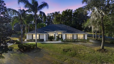 Black Bear Lake  Home Sale Pending in Eustis Florida
