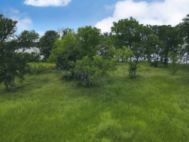 Pristine Waterfront 1+ Acre Lot in Gated Subdivision on RC Lake! - photo 8