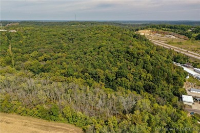 Vacant land adjacent to Hwy 54 - photo 3
