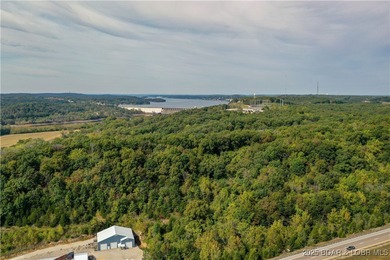 Vacant land adjacent to Hwy 54 - photo 5