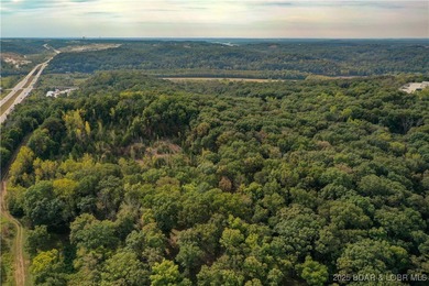 Vacant land adjacent to Hwy 54 - photo 8