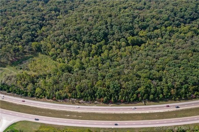 Vacant land adjacent to Hwy 54 - photo 10
