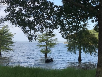 Toledo Bend Reservoir Lot For Sale in Many Louisiana