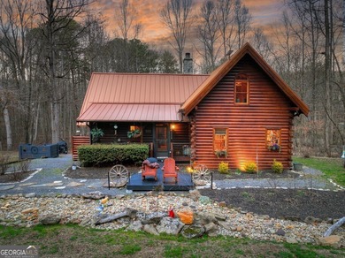 (private lake, pond, coastal) Home For Sale in Talking Rock Georgia