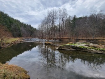 South Fork New River Acreage For Sale in Crumpler North Carolina