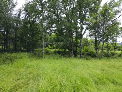 Pristine Waterfront 1+ Acre Lot in Gated Subdivision on RC Lake! - photo 26