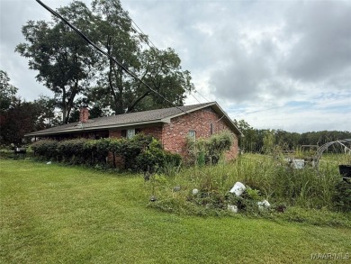 Lake Home ActiveUnderContr in Eclectic, Alabama