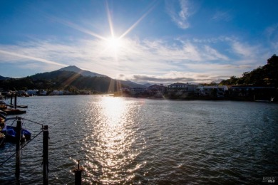 Lake Home For Sale in Larkspur, California