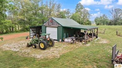 Charming, fully remodeled farmhouse nestled on approximately - photo 29