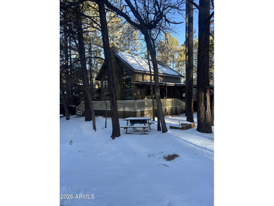 A beautiful FULLY FURNISHED cabin in the tall pines W/HOTTUB - photo 37