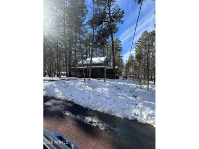 A beautiful FULLY FURNISHED cabin in the tall pines W/HOTTUB - photo 39