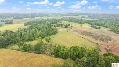 Charming, fully remodeled farmhouse nestled on approximately - photo 41
