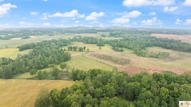 Charming, fully remodeled farmhouse nestled on approximately - photo 45