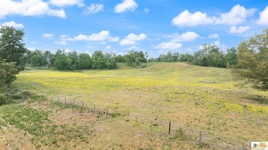 Charming, fully remodeled farmhouse nestled on approximately - photo 48