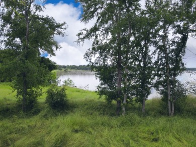 Pristine Waterfront 1+ Acre Lot in Gated Subdivision on RC Lake! - photo 45