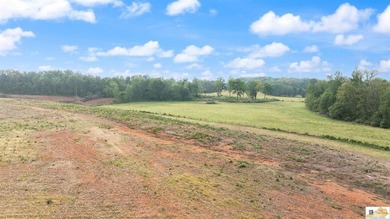Charming, fully remodeled farmhouse nestled on approximately - photo 49
