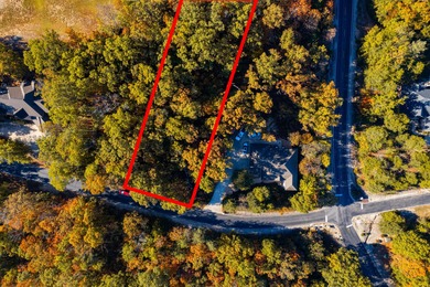 Table Rock Lake Lot For Sale in Branson West Missouri