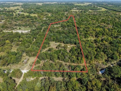 Lake Acreage For Sale in Sadler, Texas