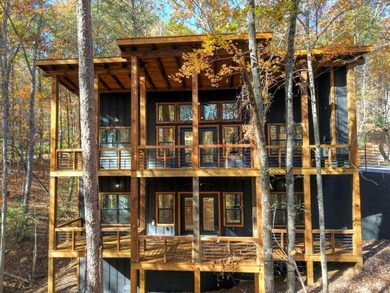 Lake Home For Sale in Morganton, Georgia