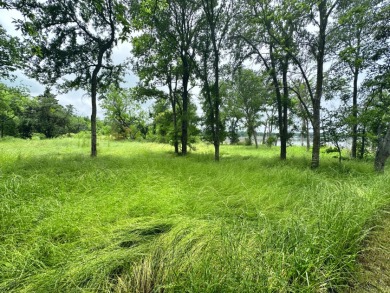 Pristine Waterfront 1+ Acre Lot in Gated Subdivision on RC Lake! - photo 7
