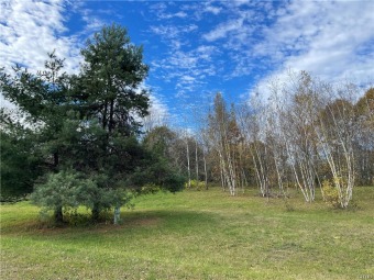 Fawn Lake Lot For Sale in Orwell New York
