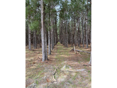 Lake Marion Acreage For Sale in Manning South Carolina