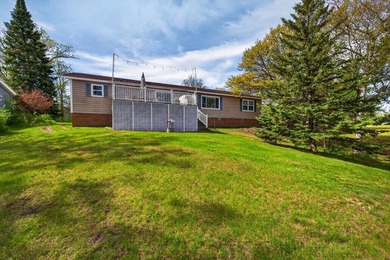 Lake Belle Taine Home! Take a look at this spacious one-level - photo 6