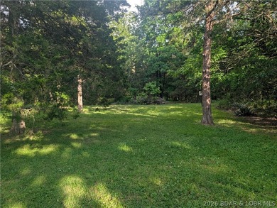 This home is a wonderful one-level gem waiting to be found. It - photo 11