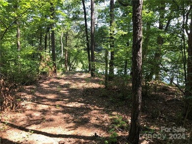 Beautiful homesite with approximately 120' 'feet of waterfront - photo 11