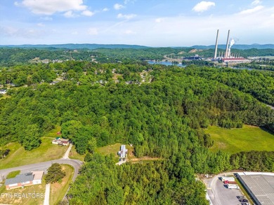 Outstanding development opportunity in Kingston. This 12.9-acre - photo 11