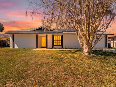 (private lake, pond, coastal) Home For Sale in Lutz Florida