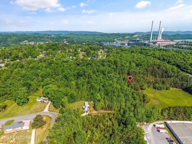 Outstanding development opportunity in Kingston. This 12.9-acre - photo 23