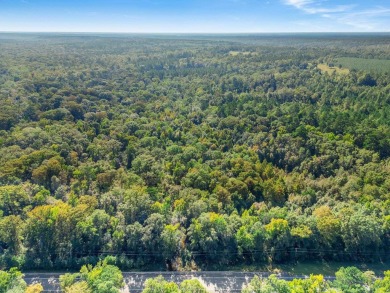 Lake Acreage For Sale in Quincy, Florida