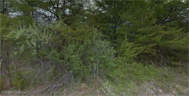 Lake Lot For Sale in Crossville, Tennessee