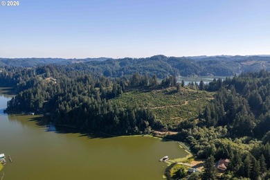 An OPPORTUNITY UNLIKE ANY BEFORE IT! This is your chance to own - photo 12