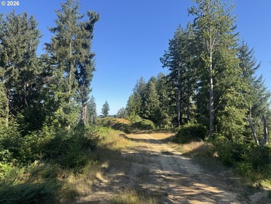 An OPPORTUNITY UNLIKE ANY BEFORE IT! This is your chance to own - photo 17
