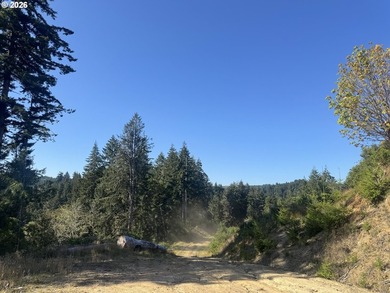 An OPPORTUNITY UNLIKE ANY BEFORE IT! This is your chance to own - photo 19
