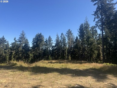 An OPPORTUNITY UNLIKE ANY BEFORE IT! This is your chance to own - photo 25