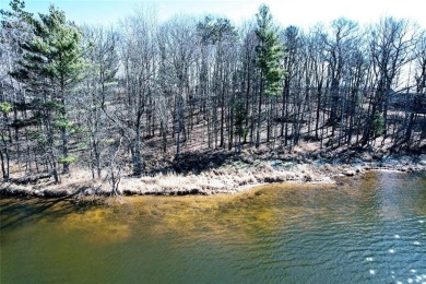(private lake, pond, creek) Lot For Sale in Bruce Wisconsin
